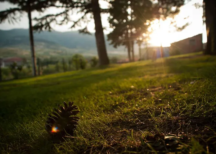 Rural - El Convento De Hotell 2*